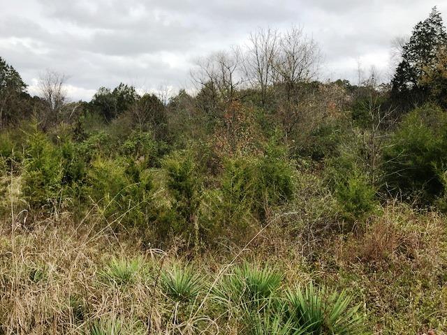4610 Ellistown Road Corryton, TN 37721 - Photo 4 of 8 4610 Ellistown Rd