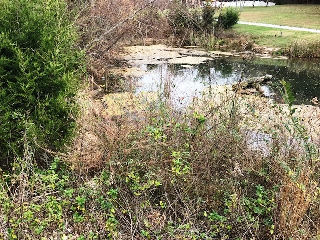 4610 Ellistown Road Corryton, TN 37721 - Photo 5 of 8 4610 Ellistown Rd V2