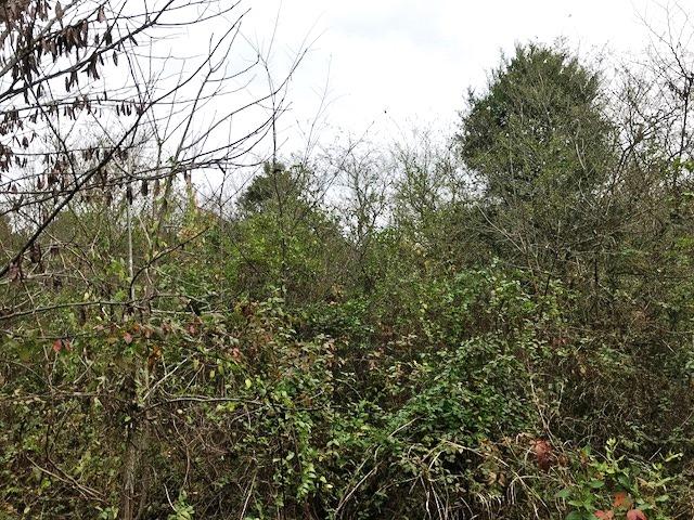 4610 Ellistown Road Corryton, TN 37721 - Photo 7 of 8 4610 Ellistown Rd V4