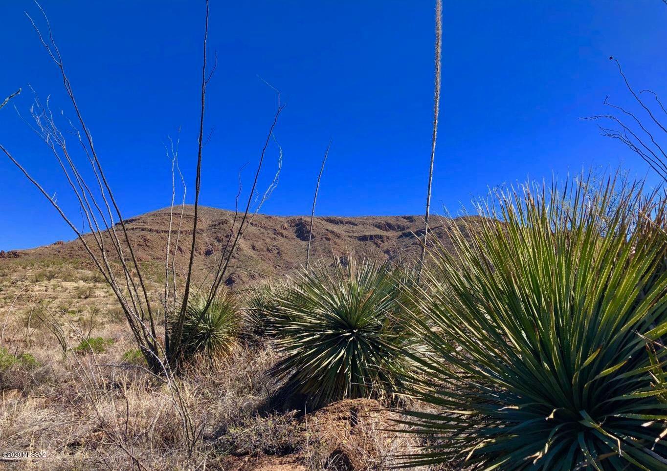 665 Grosvenor Road, Unit 115 Rio Rico, AZ 85648 - Photo 1 of 13