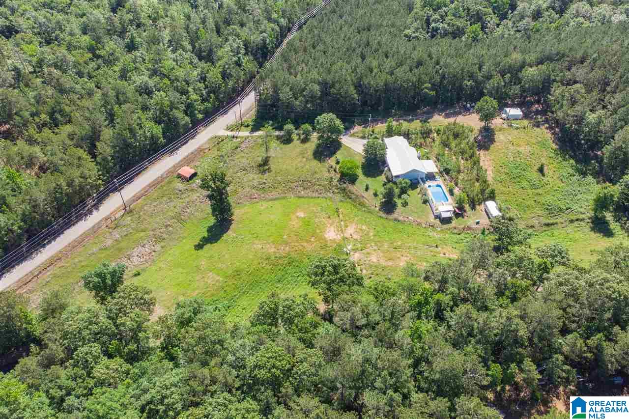 1591 Camp Brownie Road Sylacauga, AL 35151 - Photo 41 of 43