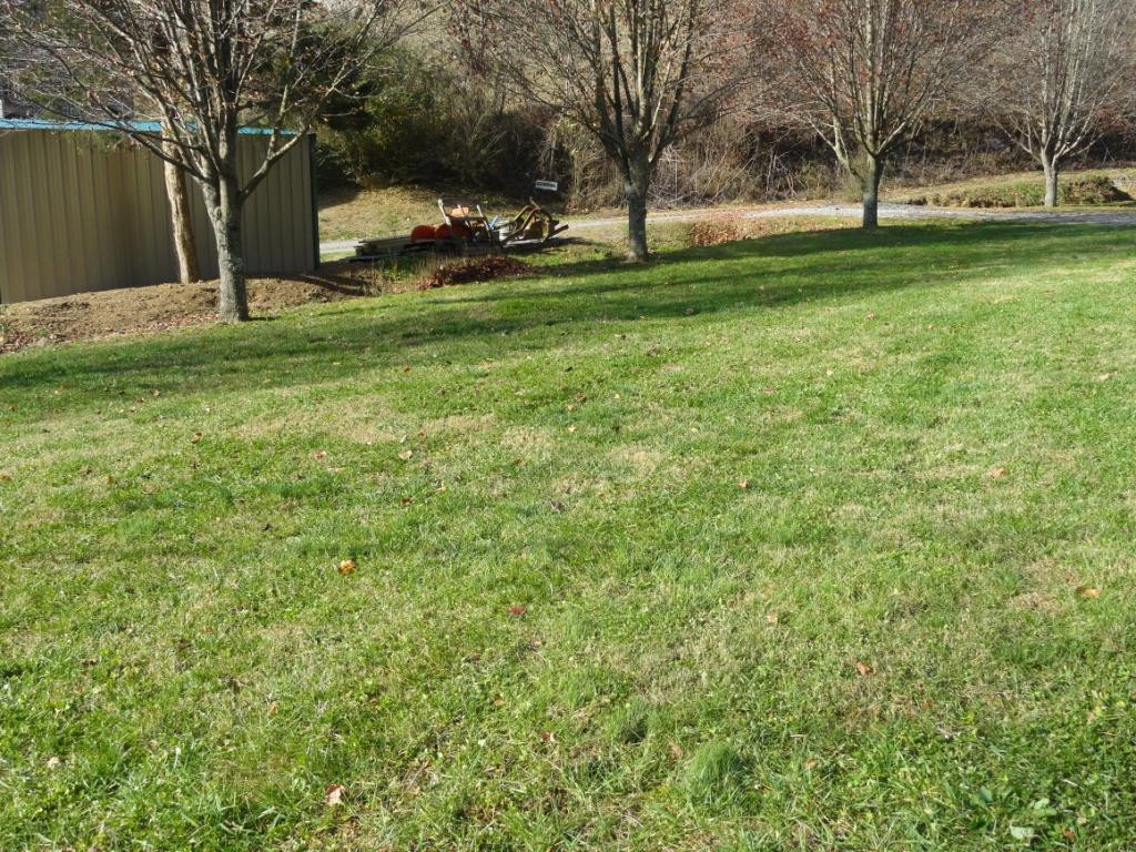 4406 Anglers Way Road Duffield, VA 24244 - Photo 4 of 32 Photo 4