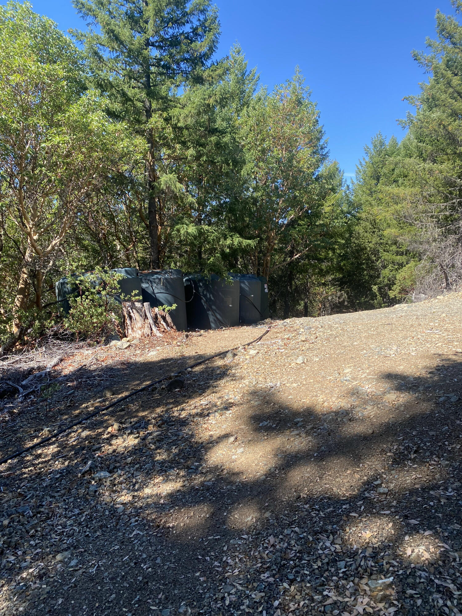 1780 Mcdonald Creek Road Burnt Ranch, CA 95527 - Photo 37 of 58