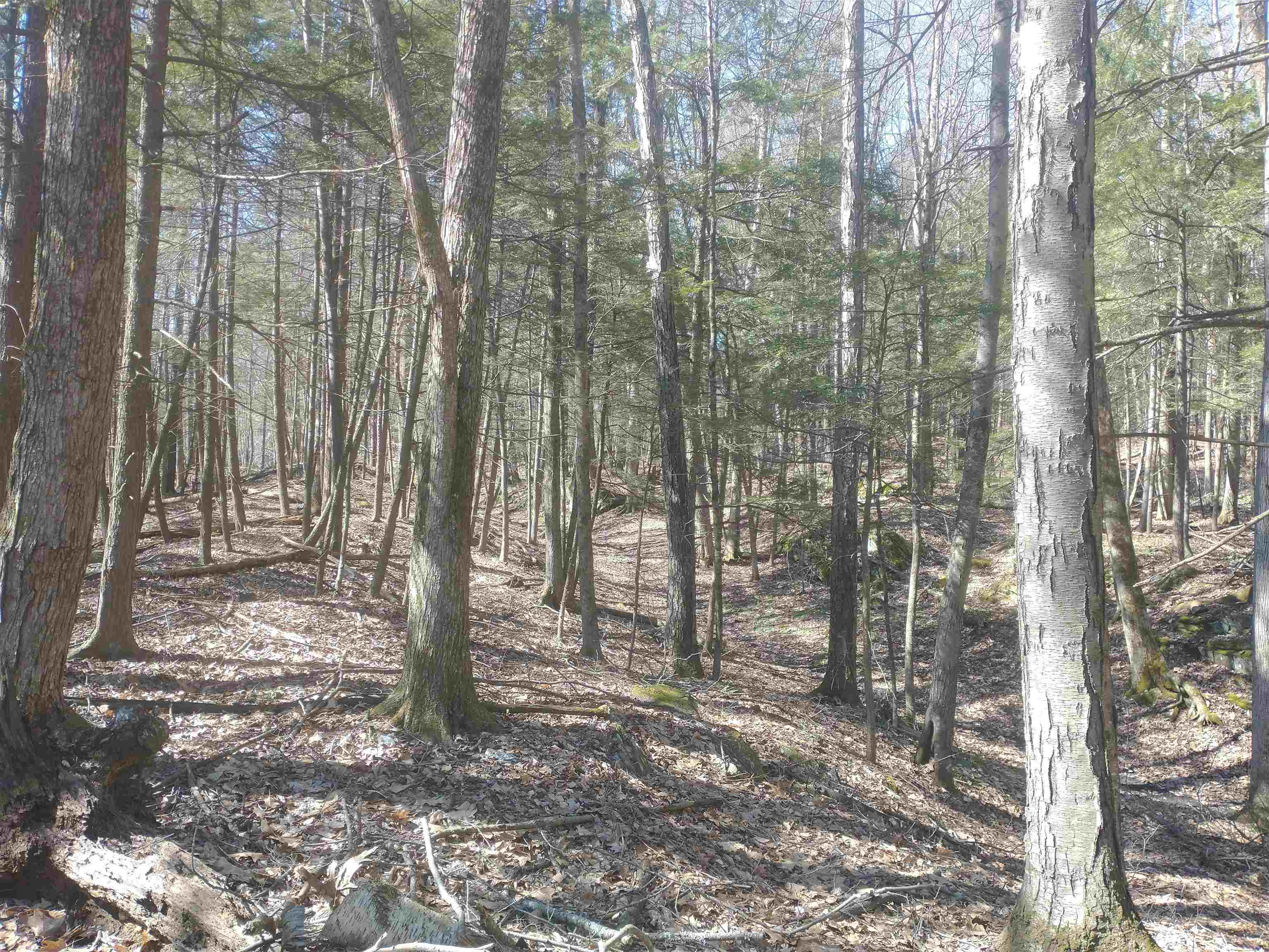 12 Frost Road, Unit LOT 2 Putney, VT 05346 - Photo 11 of 15