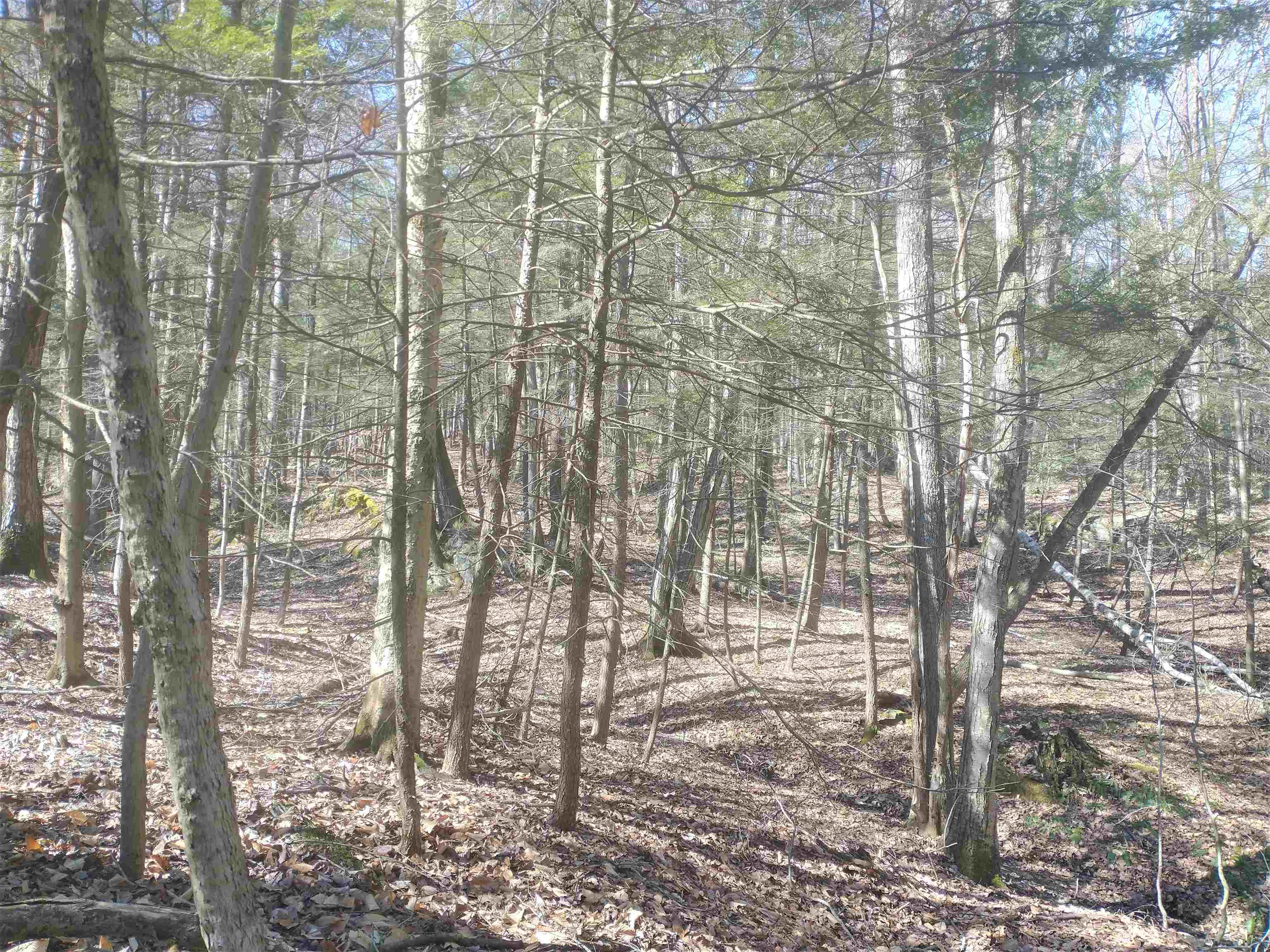 12 Frost Road, Unit LOT 2 Putney, VT 05346 - Photo 8 of 15