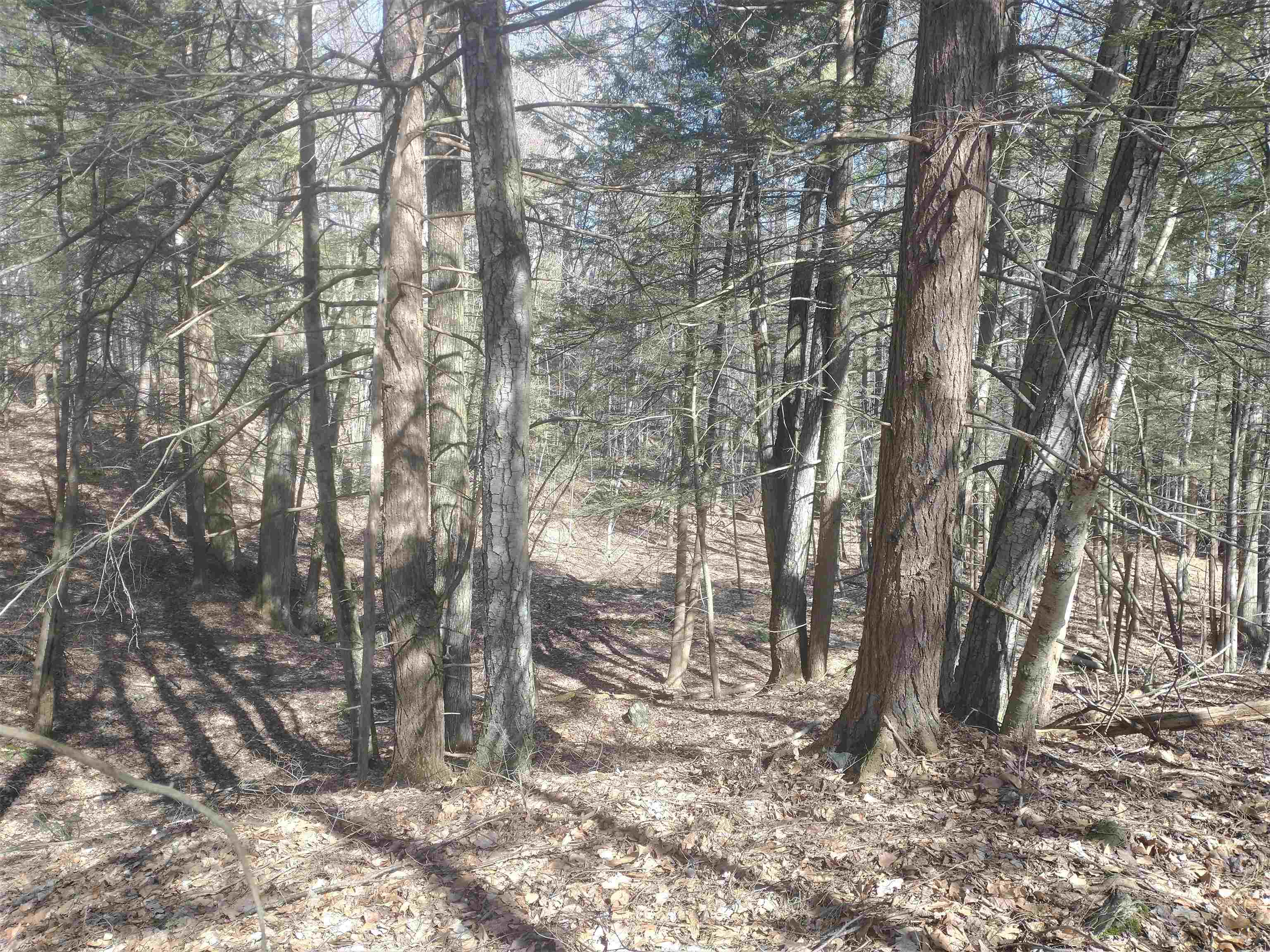12 Frost Road, Unit LOT 2 Putney, VT 05346 - Photo 9 of 15