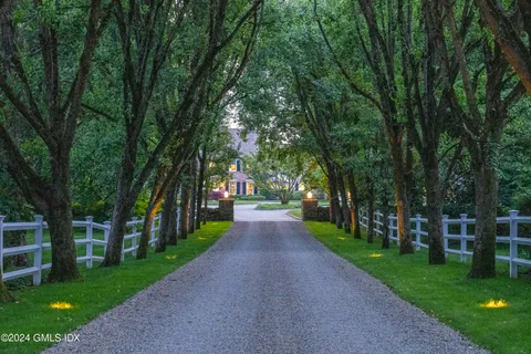 a view of a park with large trees