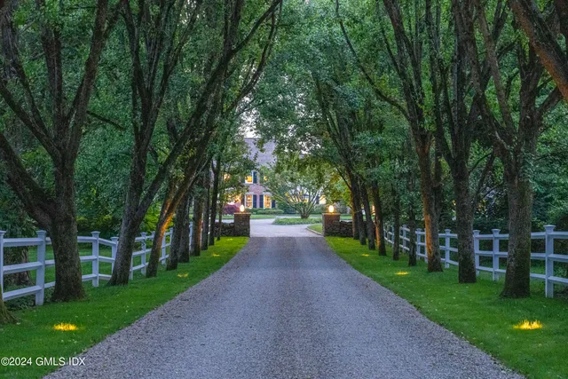 a view of a park with large trees