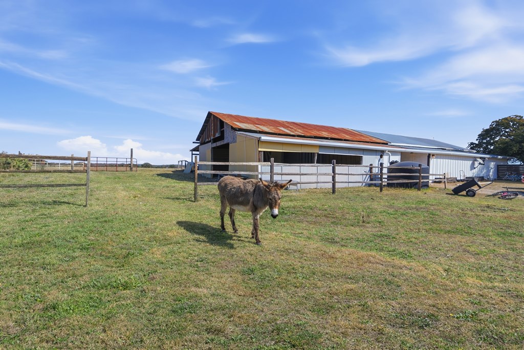3764 Ranch Road 1623 Blanco, TX 78606 - Photo 45 of 71