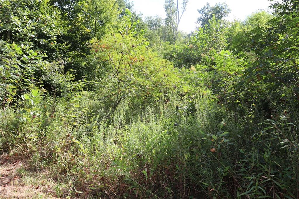 0 Hoot Road Spencer, IN 47460 - Photo 13 of 32