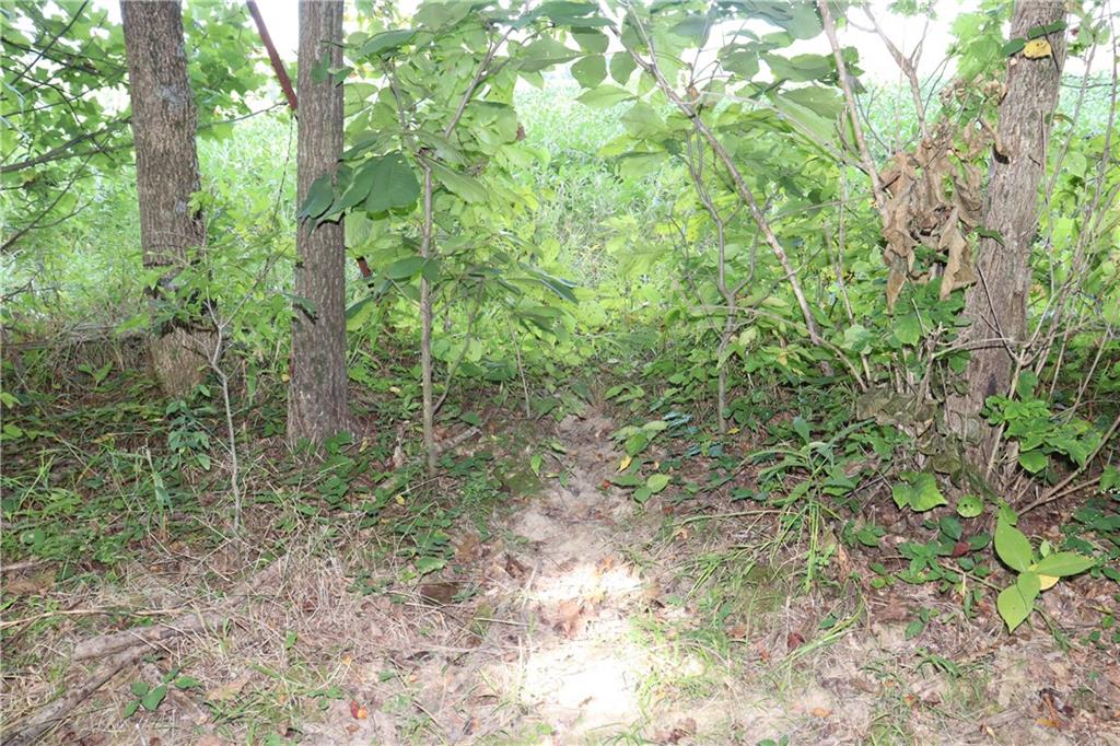0 Hoot Road Spencer, IN 47460 - Photo 25 of 32