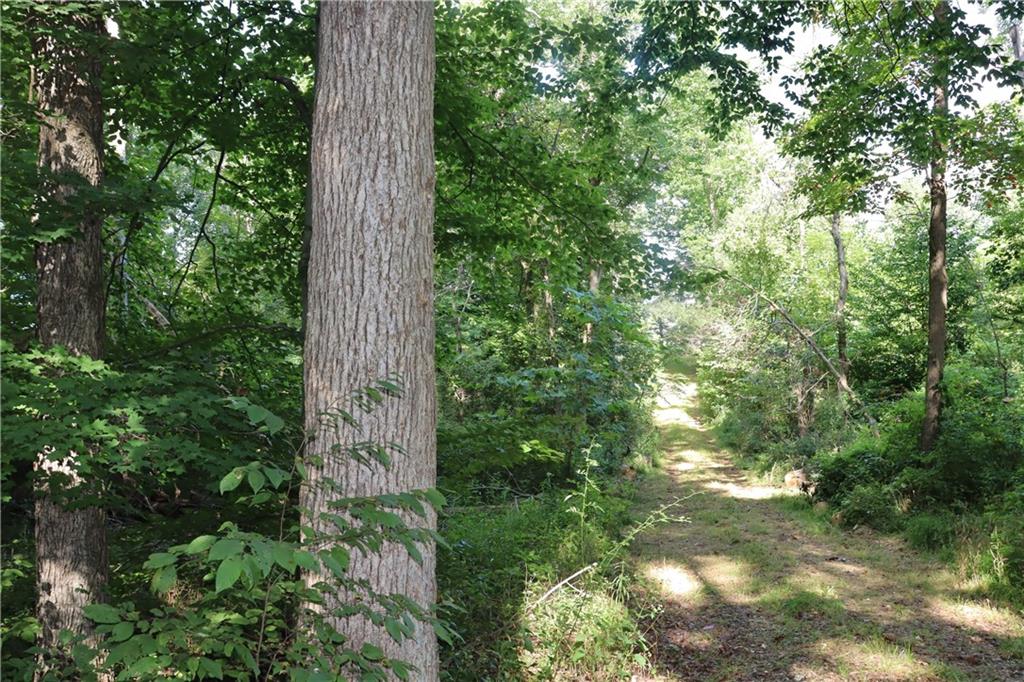 0 Hoot Road Spencer, IN 47460 - Photo 10 of 32