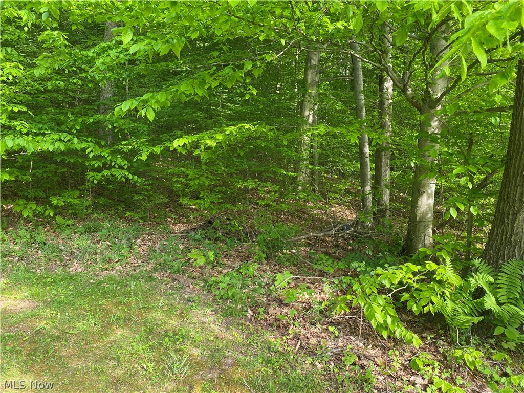 15931 Stocker Ridge Road Southwest Newcomerstown, OH 43832 - Photo 8 of 31 Gallery Image 8