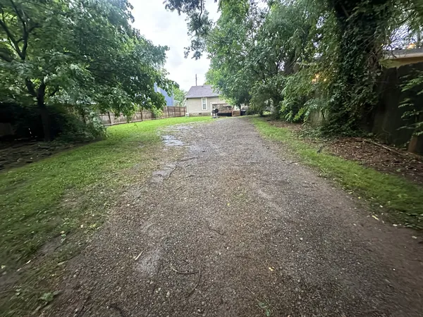 a view of a big yard with plants and large trees