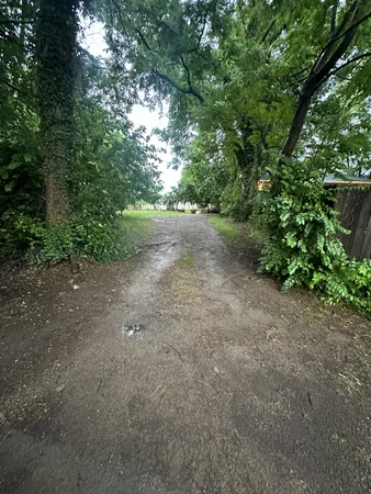 a view of a dirt road with large trees