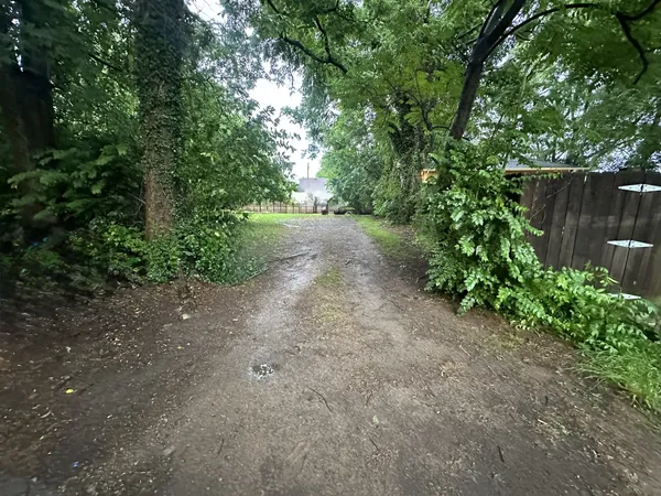 a view of a yard with plants and trees