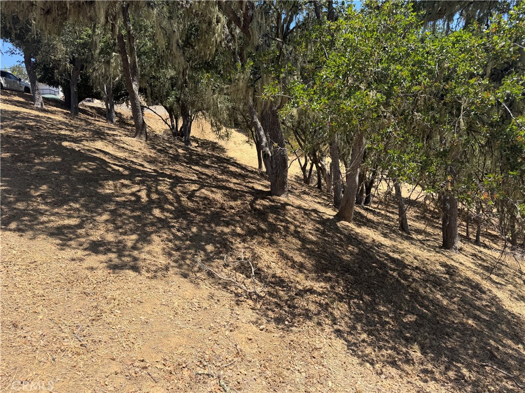 2174 Ridge Rider Road Bradley, CA 93426 - Photo 4 of 17