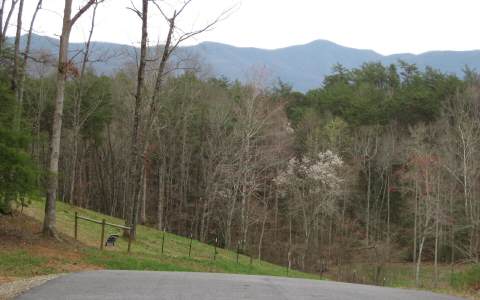 Morgan Ridge Young Harris, GA 30582 - Photo 1 of 1 Main View