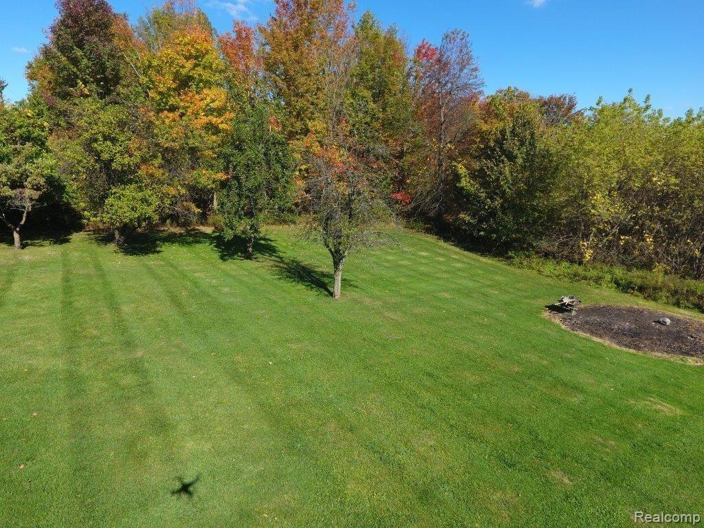 237 South Elba Road Lapeer, MI 48446 - Photo 38 of 42 Fruit Trees