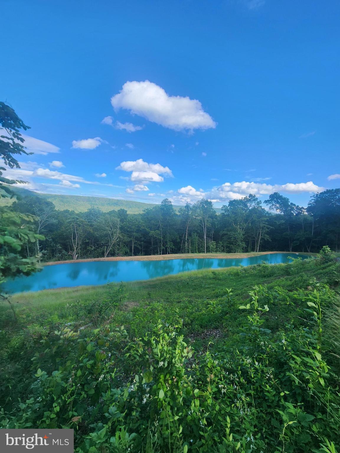 9580 Timber Ridge Road Big Cove Tannery, PA 17212 - Photo 55 of 56 Pond photo from last year