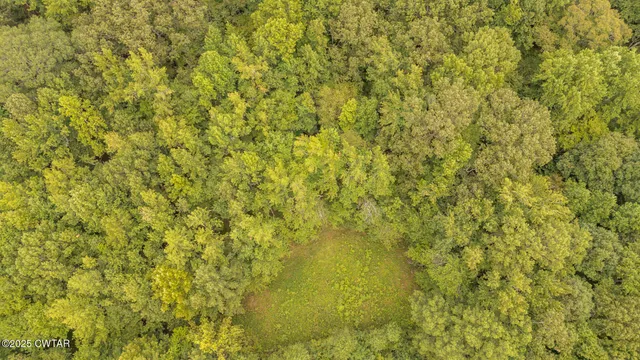 $499,000 | 3554 Shades Bridge Road, Greenfield, TN 38230