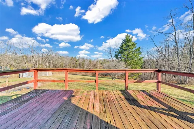 a view of yard with trees