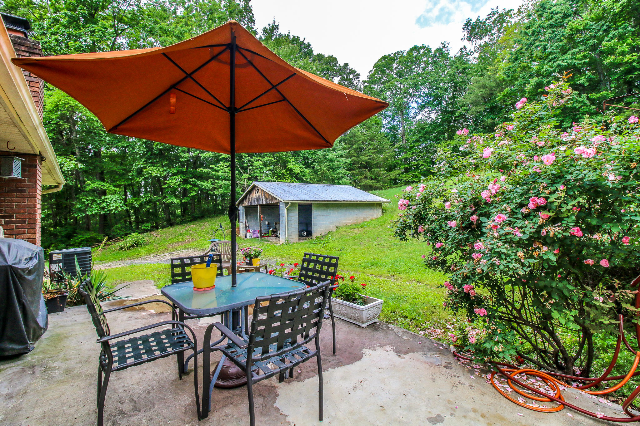 2170 New Corinth Road Rutledge, TN 37861 - Photo 24 of 34 IMG_2493