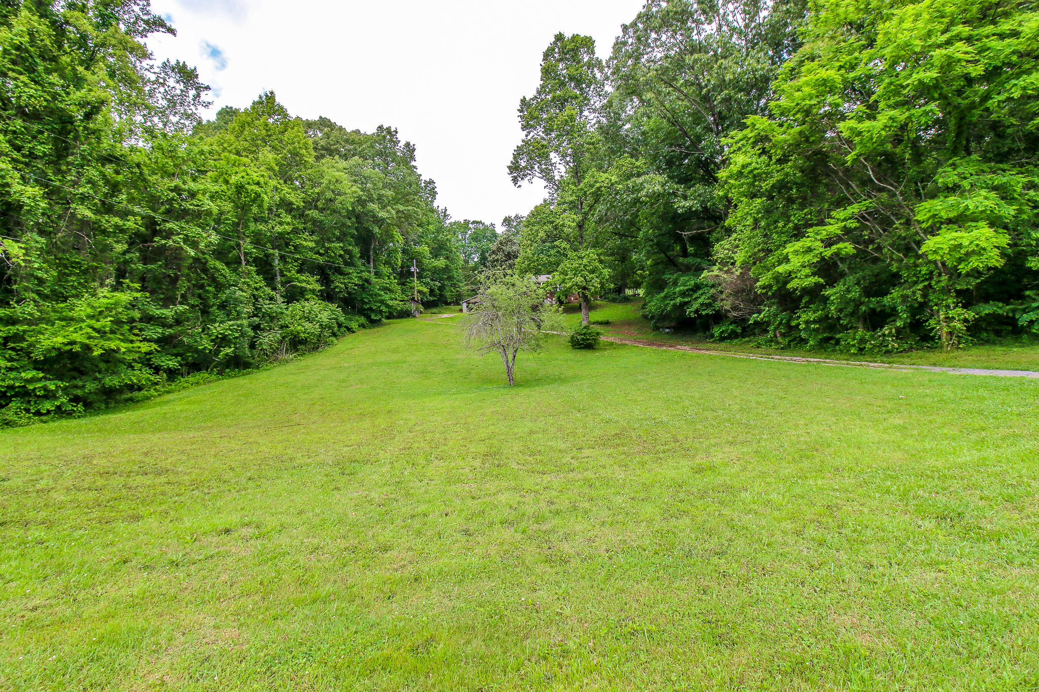 2170 New Corinth Road Rutledge, TN 37861 - Photo 34 of 34 IMG_2553