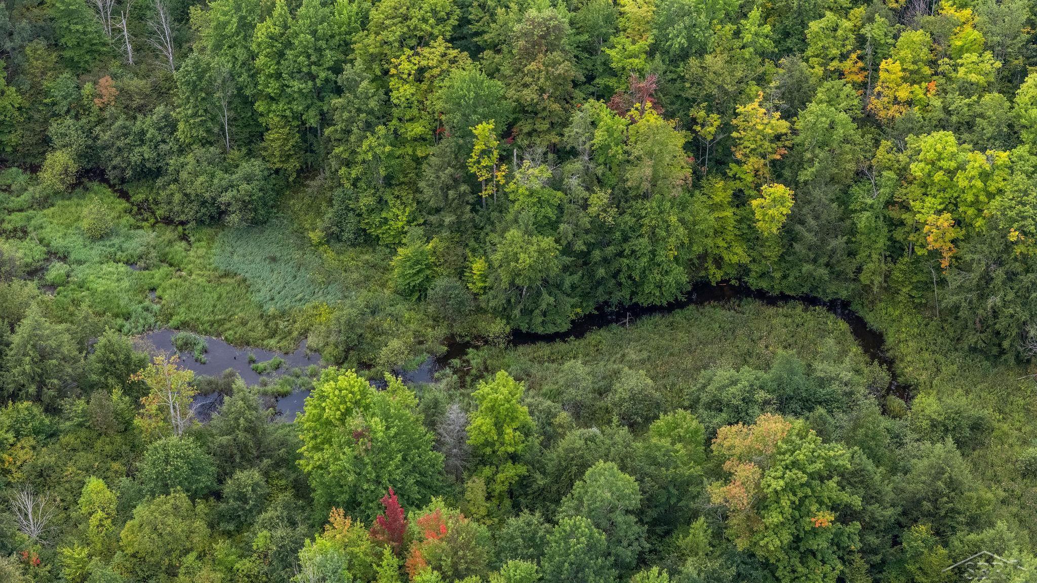 20686 Lakola Road Tustin, MI 49688 - Photo 39 of 47