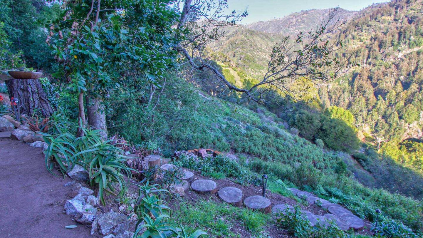 51410 Partington Ridge Road Big Sur, CA 93920 - Photo 37 of 45 a view of a flower in a garden