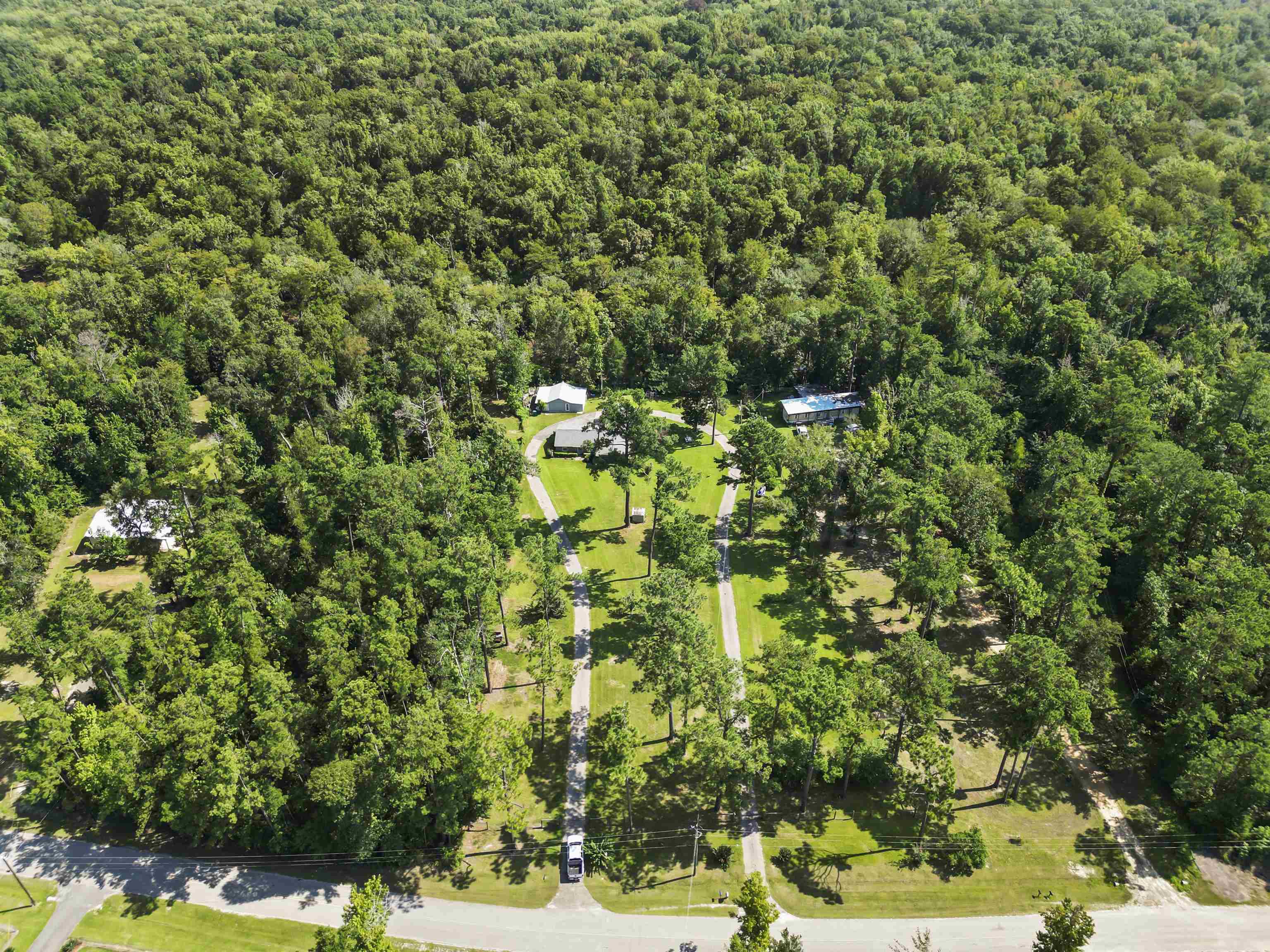 8372 Northwest River Road Bristol, FL 32321 - Photo 29 of 35