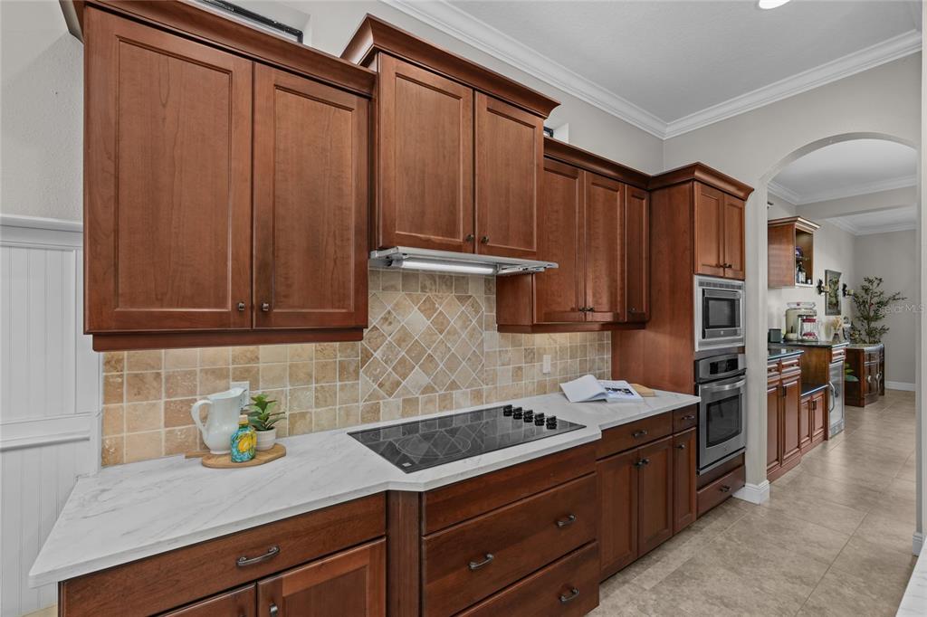 12922 Red Cardinal Drive Odessa, FL 33556 - Photo 13 of 59