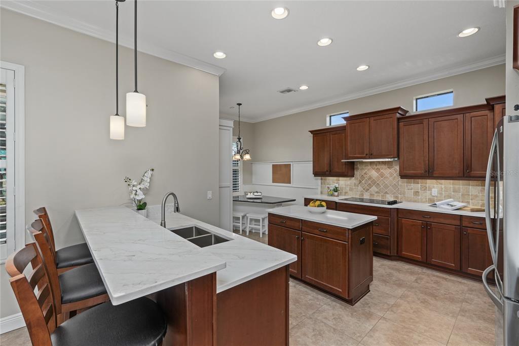 12922 Red Cardinal Drive Odessa, FL 33556 - Photo 15 of 59