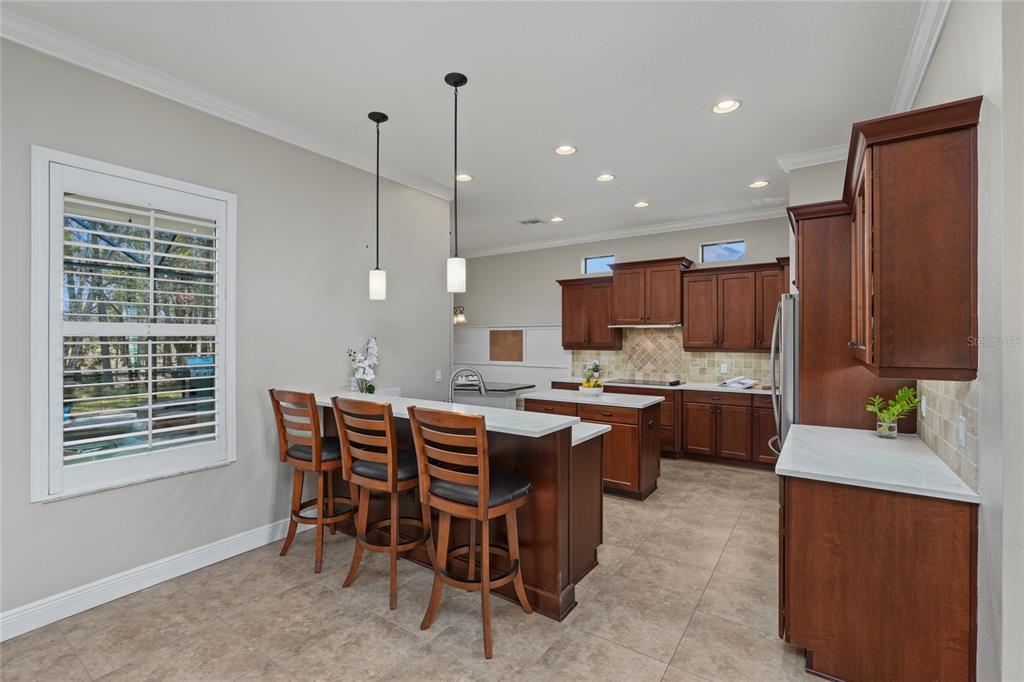 12922 Red Cardinal Drive Odessa, FL 33556 - Photo 17 of 59