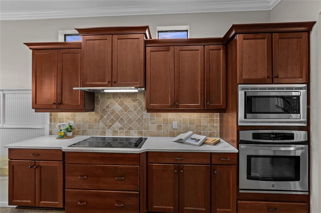 12922 Red Cardinal Drive Odessa, FL 33556 - Photo 18 of 59