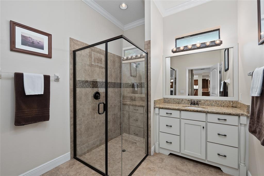 12922 Red Cardinal Drive Odessa, FL 33556 - Photo 22 of 59