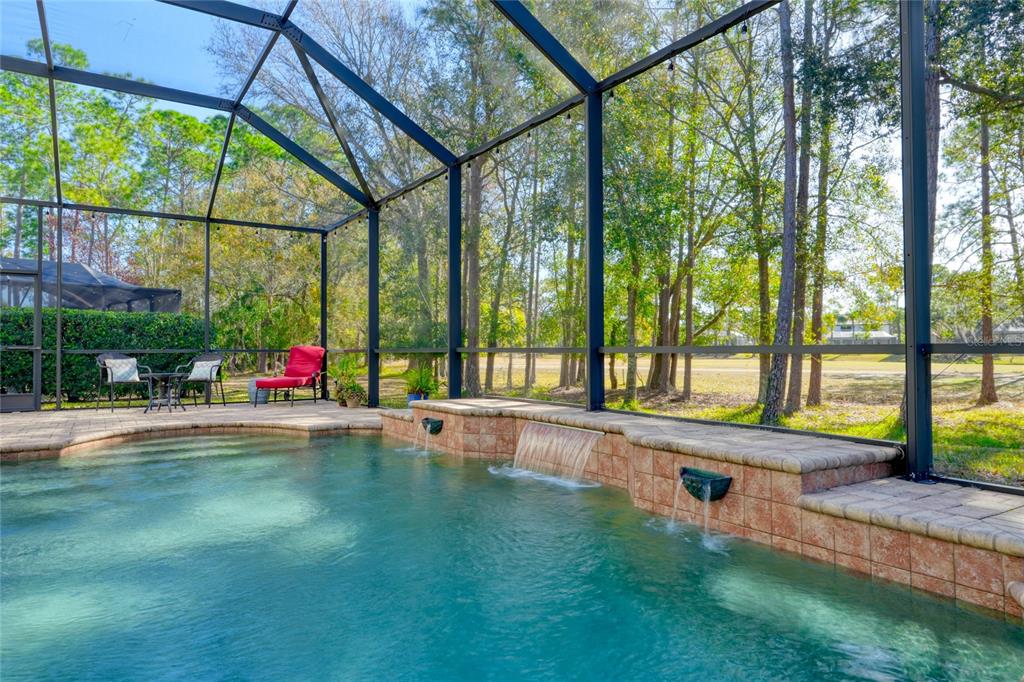 12922 Red Cardinal Drive Odessa, FL 33556 - Photo 23 of 59