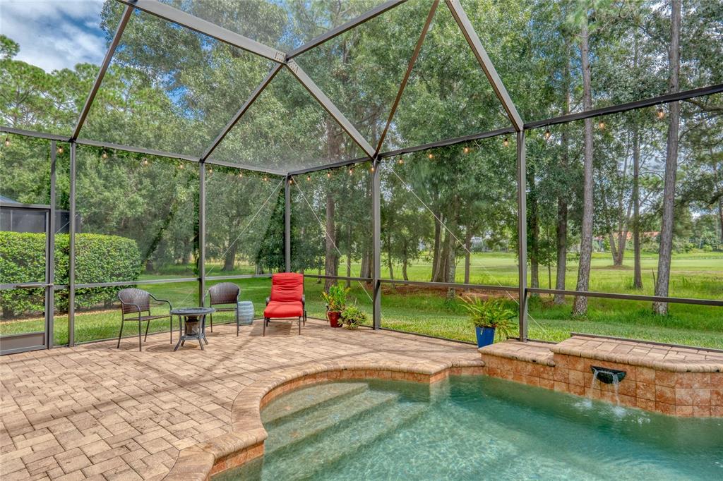 12922 Red Cardinal Drive Odessa, FL 33556 - Photo 42 of 59