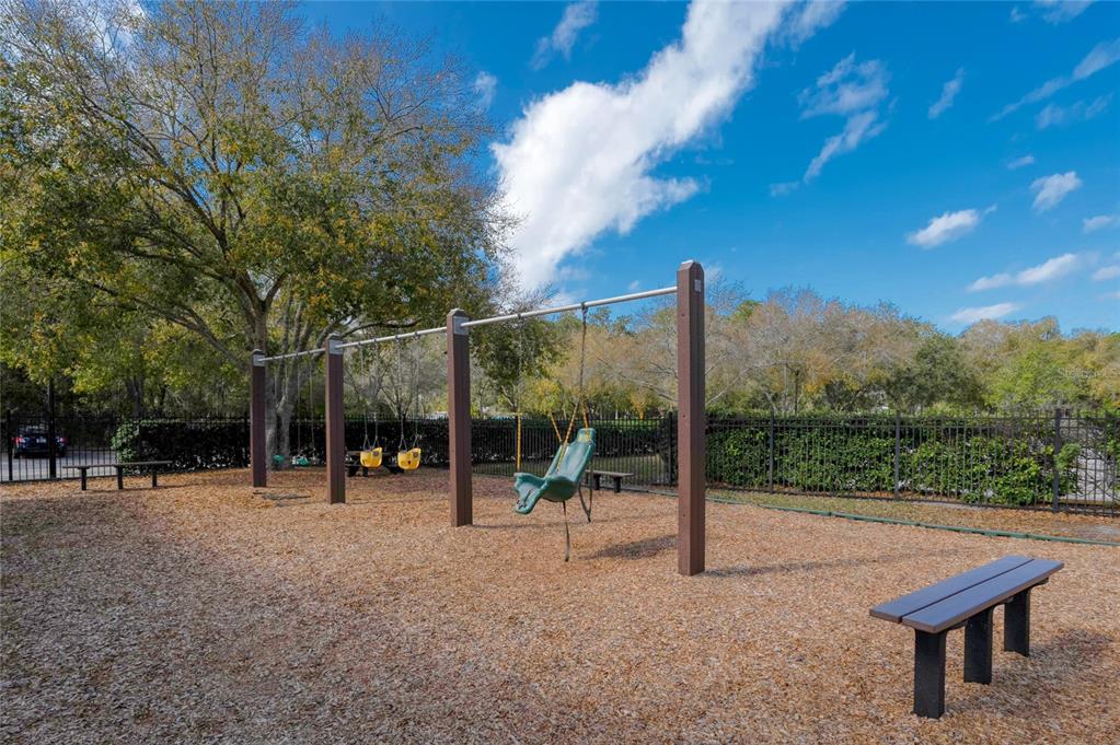 12922 Red Cardinal Drive Odessa, FL 33556 - Photo 48 of 59