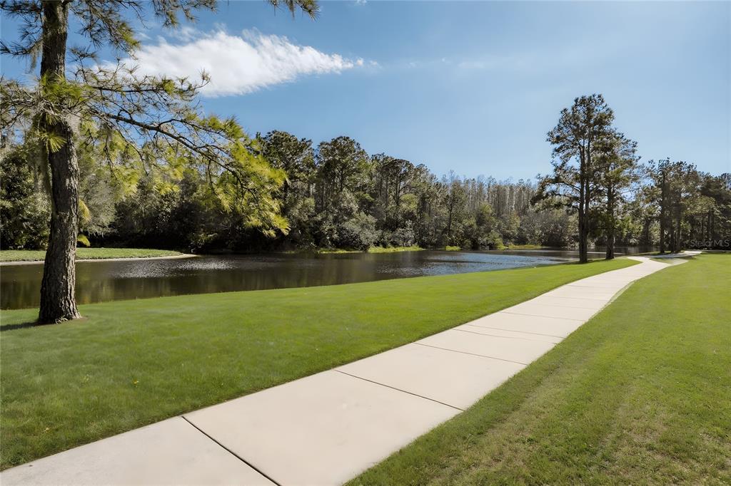 12922 Red Cardinal Drive Odessa, FL 33556 - Photo 58 of 59