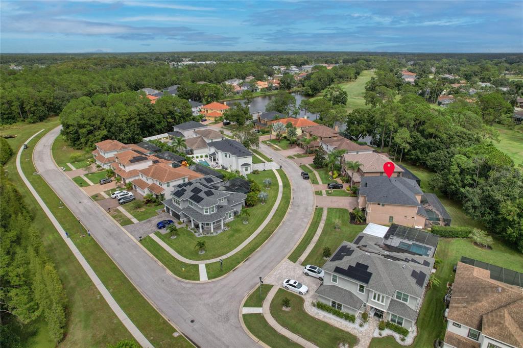 12922 Red Cardinal Drive Odessa, FL 33556 - Photo 6 of 59