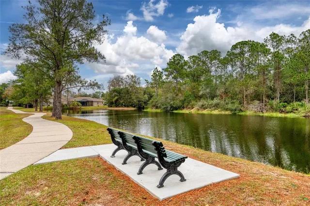 $1,085,000 | 12922 Red Cardinal Drive, Odessa, FL 33556