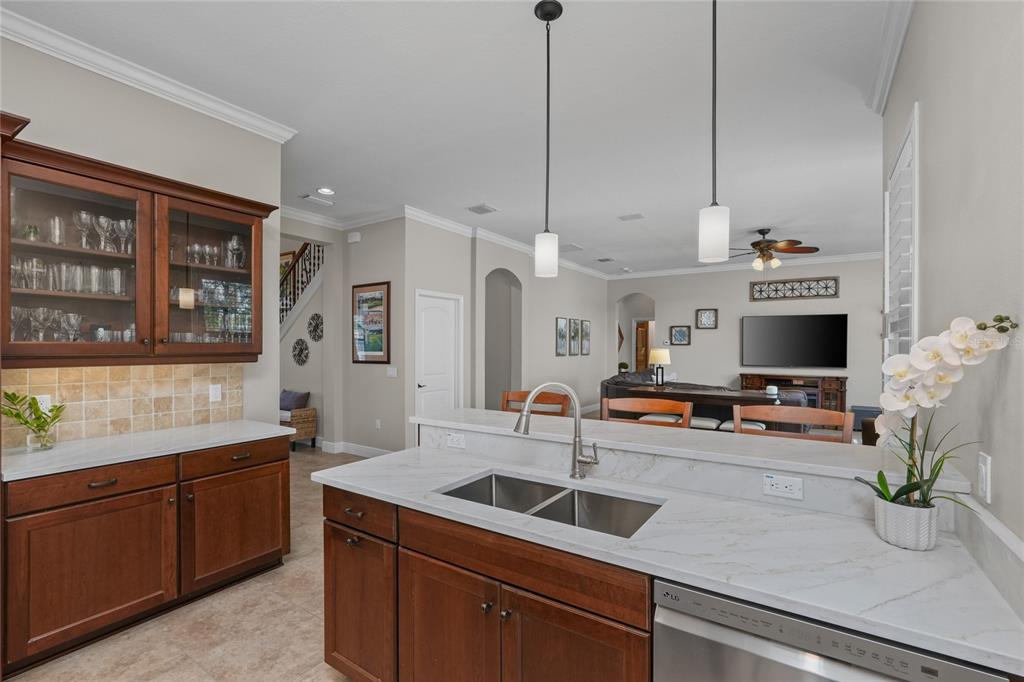 12922 Red Cardinal Drive Odessa, FL 33556 - Photo 10 of 59