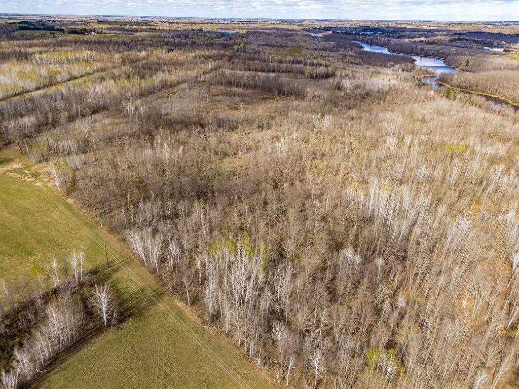 Tbd Tbd Wold Road Moose Lake, MN 55767 - Photo 7 of 19