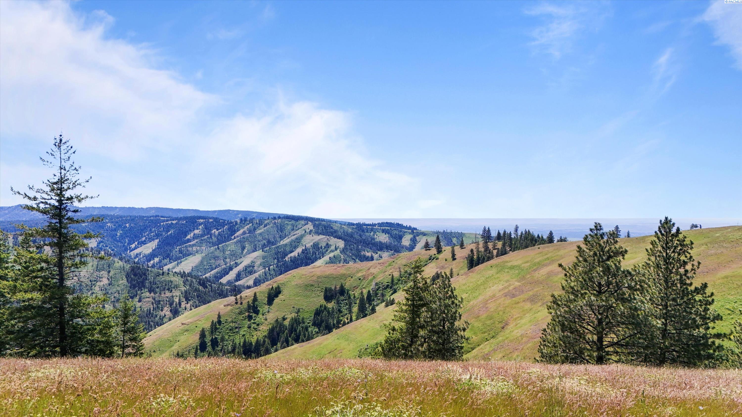 Unk10 Blacksnake Ridge Road Walla Walla, WA 99362 - Photo 25 of 48 Gallery Image 25