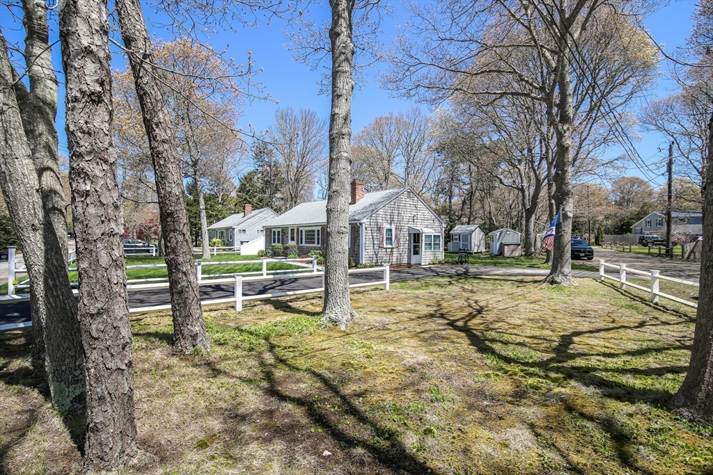 60 Security Street Barnstable, MA 02601 - Photo 6 of 32 a view of yard with tree