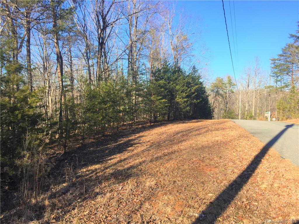 Lot#75 River Ridge Parkway Rutherfordton, NC 28139 - Photo 2 of 26 a view of backyard with green space