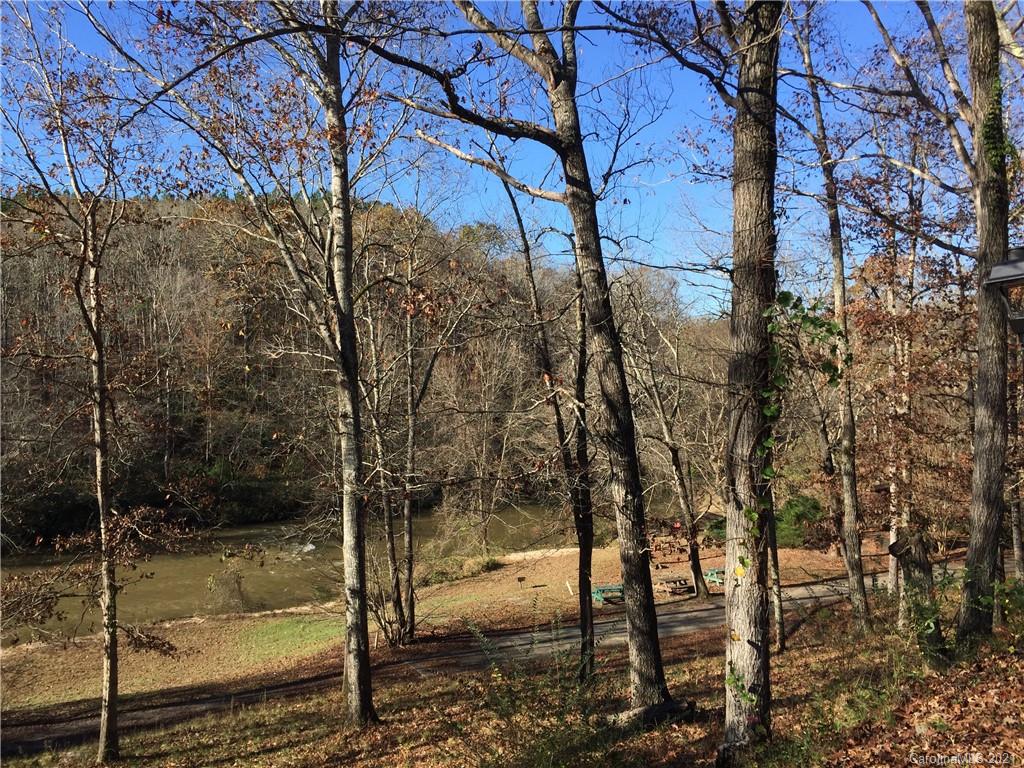 Lot#75 River Ridge Parkway Rutherfordton, NC 28139 - Photo 12 of 26 a view of a forest filled with trees