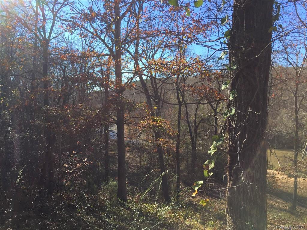 Lot#75 River Ridge Parkway Rutherfordton, NC 28139 - Photo 14 of 26 a backyard of a house with lots of green space