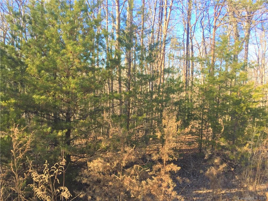 Lot#75 River Ridge Parkway Rutherfordton, NC 28139 - Photo 3 of 26 a picture of a tree